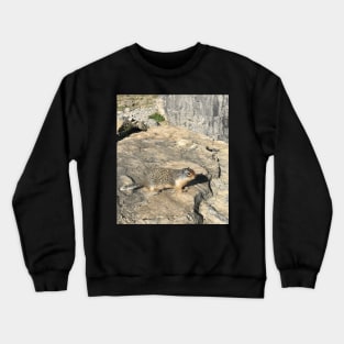 Ground Squirrel Crewneck Sweatshirt